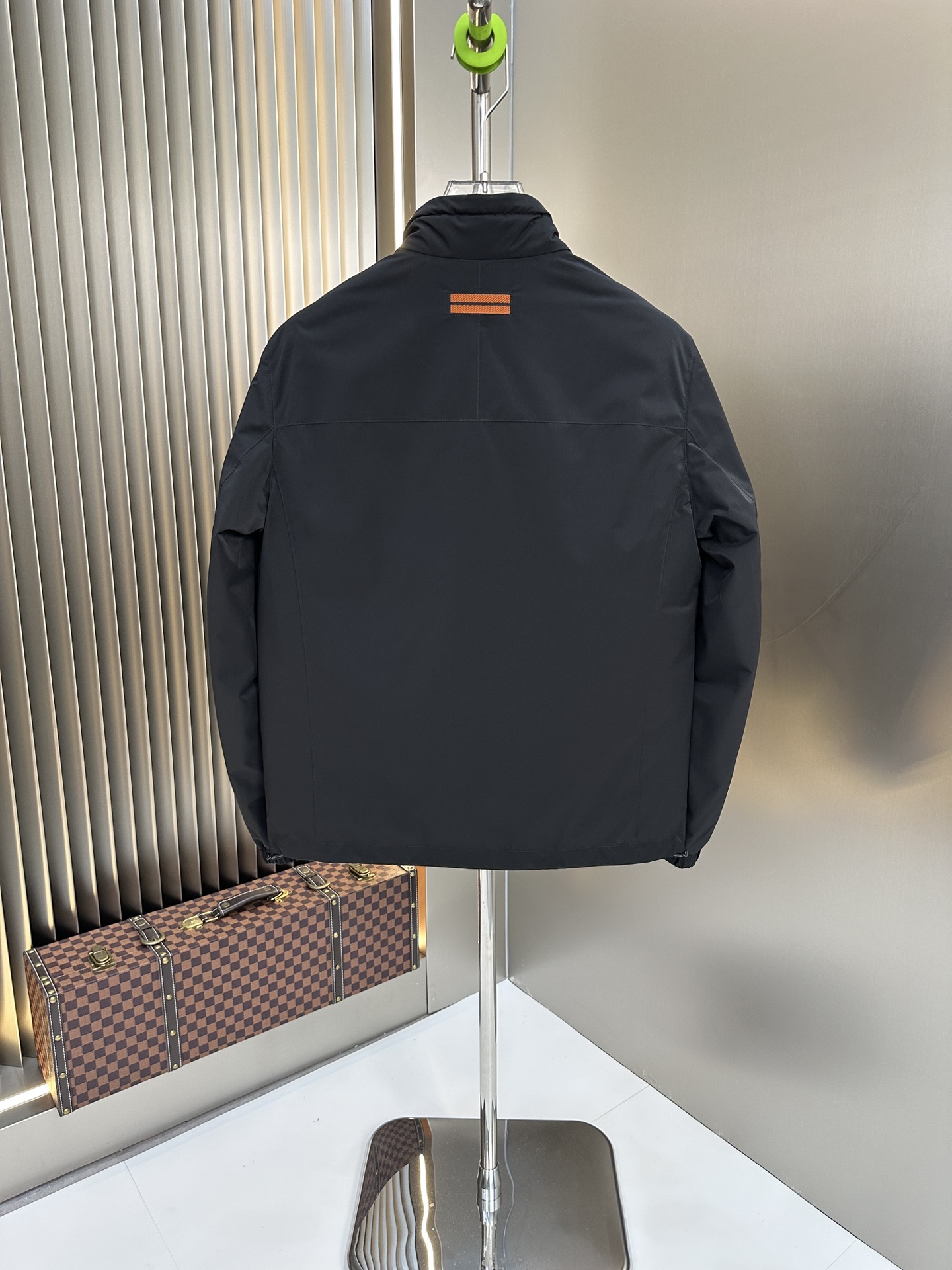 Zegna Down Jackets